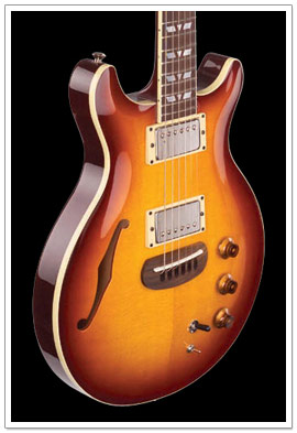 Hamer DuoTone Custom