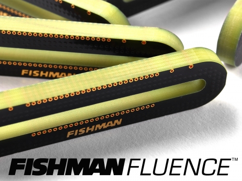 Fishman Fluence